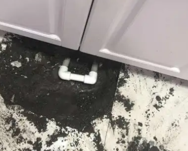 牟定查漏水哪家好